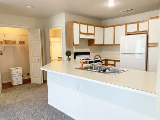 Apartment Kitchen with appliances
