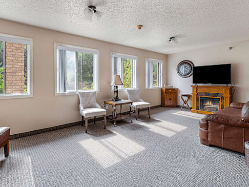 A living room with a fireplace and a television.