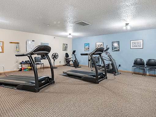 A gym with treadmills and exercise equipment.
