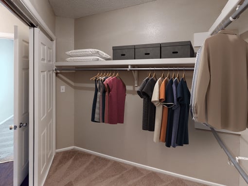 a walk in closet with a closet organizer and shelves