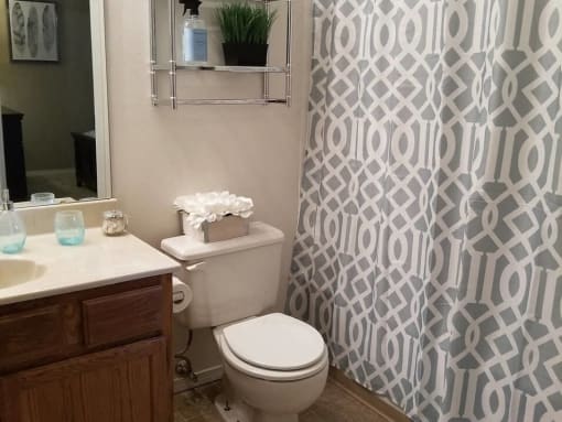 bathroom at Hunters Ridge Apartments