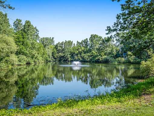 A serene lake surrounded by lush greenery under a clear blue sky.