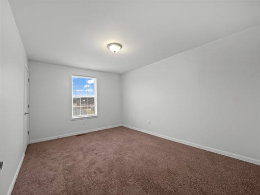 Plush Carpet in bedroom