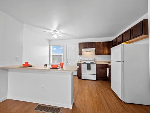 Apartment Kitchen with Cabinet Space