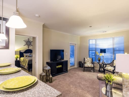 apartment living room with a television
