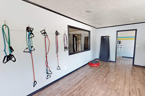 A room with a row of dog leashes hanging on the wall.
