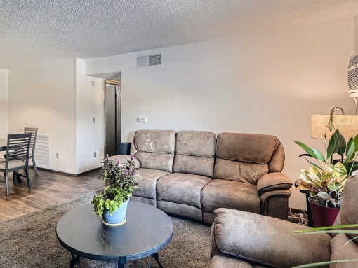 carpeted living room at country green apartments