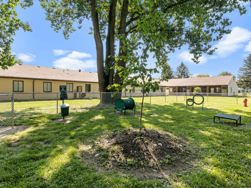 a dog park with a tree at apartment community