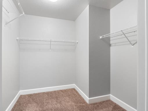 walk-in closet with two shelves in an apartment