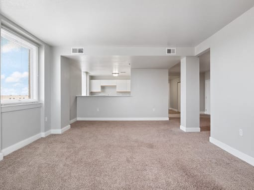living room and kitchen of an apartment with carpeting