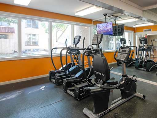 A gym with orange walls and a row of stationary bikes.