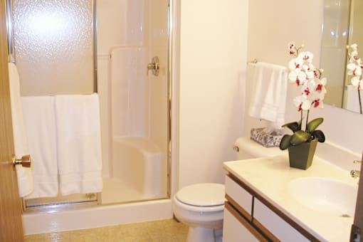 A white toilet sits next to a sink in a bathroom.