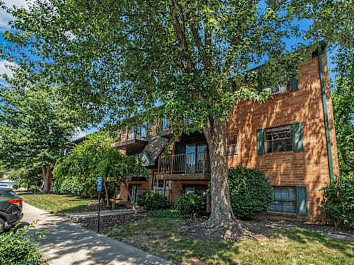 A tree in front of a brown building with green shutters.