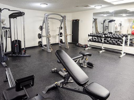 A gym with a variety of equipment including weights and a bench.
