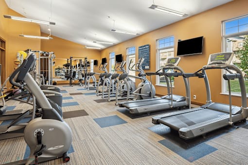 A gym with treadmills, elliptical machines, and other exercise equipment.