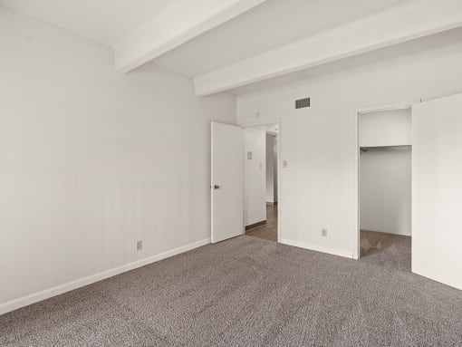 Spacious Bedroom in Apartment with walk-in Closest