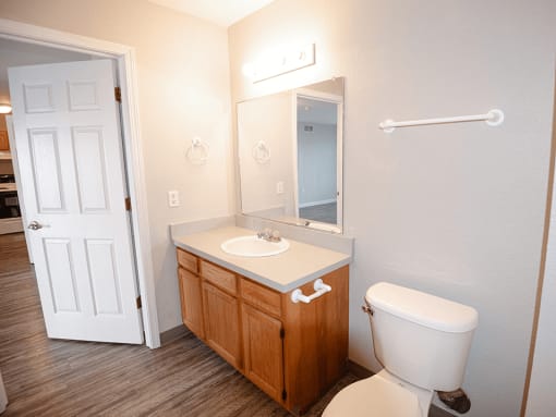 a bathroom with a toilet sink and mirror