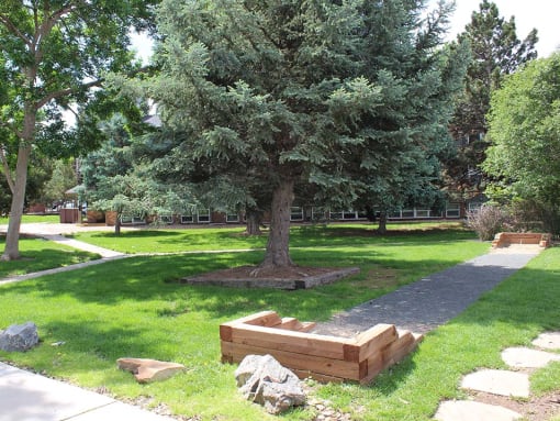 a tree in the middle of a grassy area next to a walkway