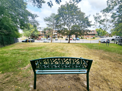 a park bench sitting in the grass