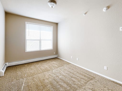 A room with a window and a carpeted floor.