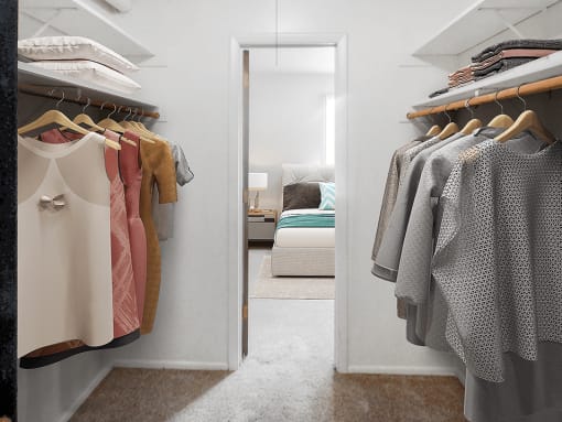 apartment with walk in closet