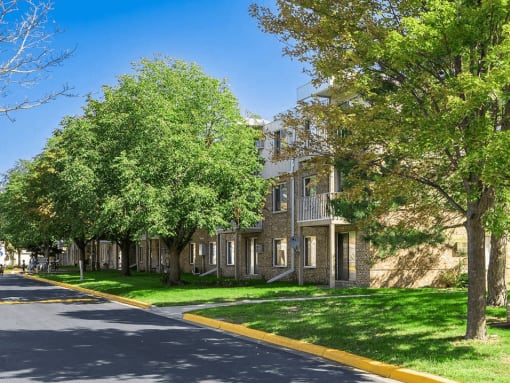 tree lined street at fountains in the park apartments