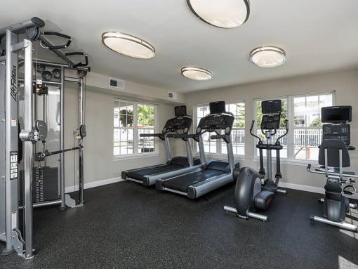apartment gym with treadmills and weight machines