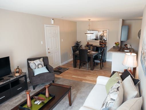 apartment living room and dining room