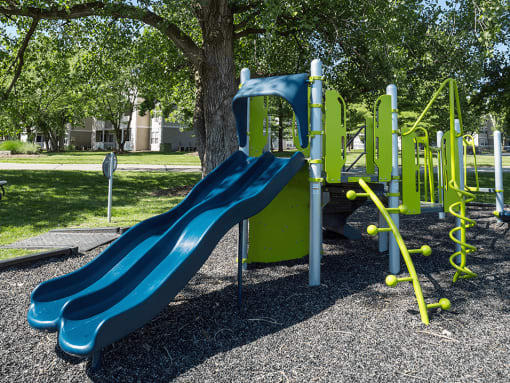 playground with a blue slide
