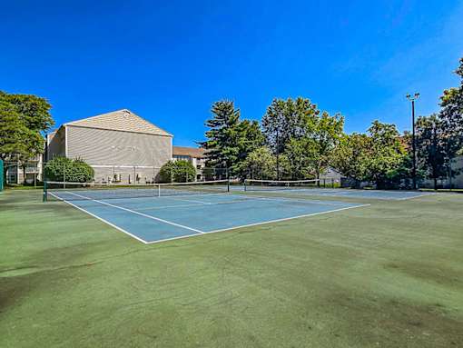 A tennis court with a blue surface and white lines, surrounded by green grass and trees under a clear blue sky.