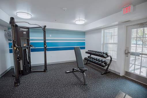 A gym room with a treadmill, weights, and a bench.