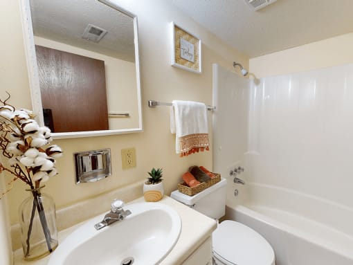 a bathroom with a sink toilet and bathtub