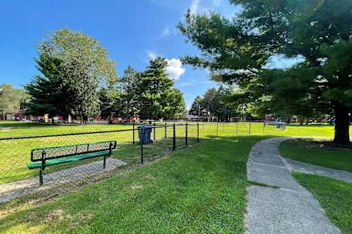 A park with a green bench and a pathway.