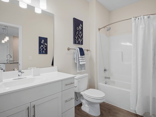 Bathroom with shower, toilet and well lit vanity.