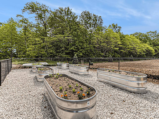 A garden with several raised beds filled with plants.