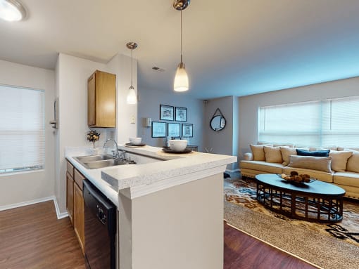 apartment kitchen and living room