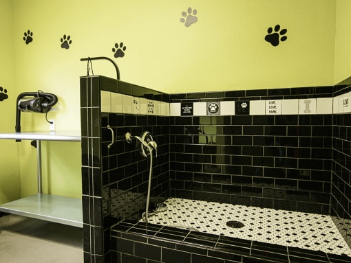 dog wash shower at apartment community