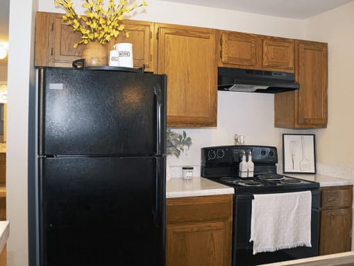 Fully-Equipped apartment Kitchen