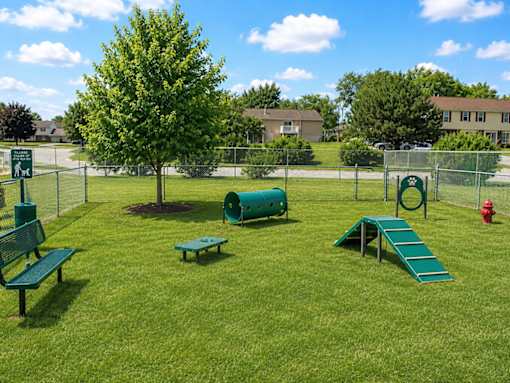 A playground with a slide, bench, and a tree.
