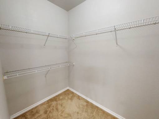 Empty white closet with shelves and carpeted floor.