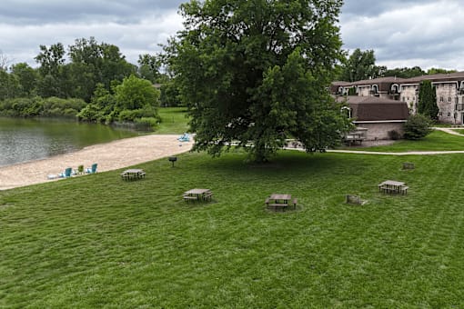 A tree stands in a grassy field with picnic tables and a lake in the background.