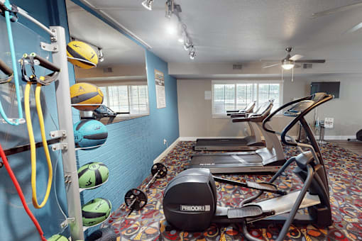 A gym with a Predator treadmill and exercise balls.
