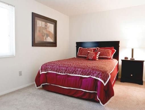 Primary Apartment Bedroom with Window