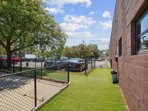dog park with a chain link fence