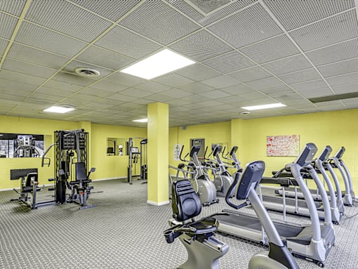 A gym with treadmills, weights and other exercise equipment.