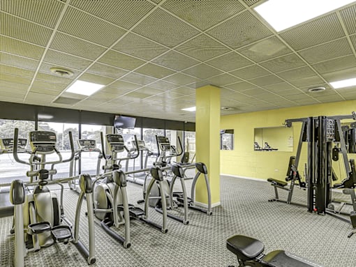 A gym with treadmills, elliptical machines, and weights.