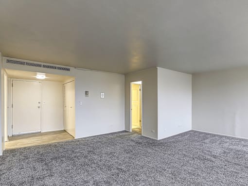 A room with a carpeted floor and two doors, one of which is open.