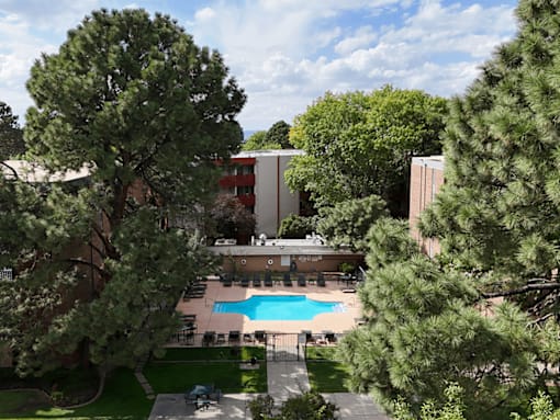 A pool surrounded by trees and a building in the background.