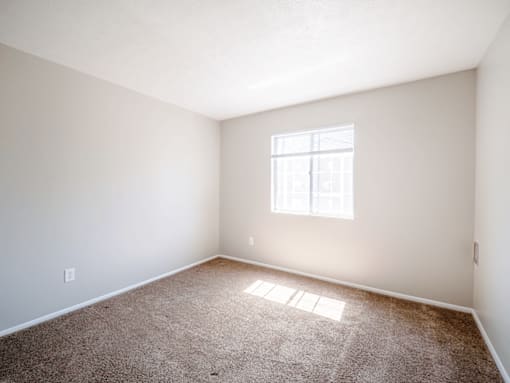 A room with a carpeted floor and a window letting in sunlight.