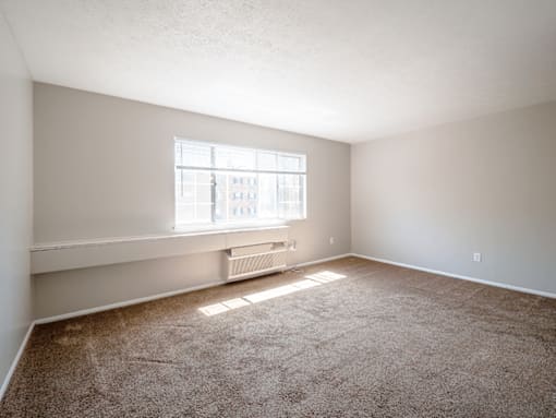 A room with a window and a carpeted floor.